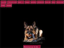 Tablet Screenshot of berger-allemand-mx.com